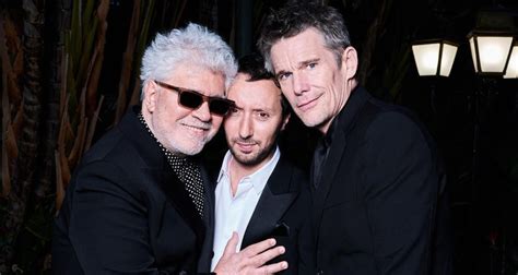 almodovar ysl